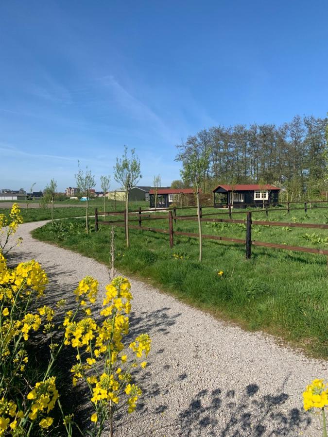 Fields 1216 Bed & Breakfast Zwaanshoek Екстериор снимка