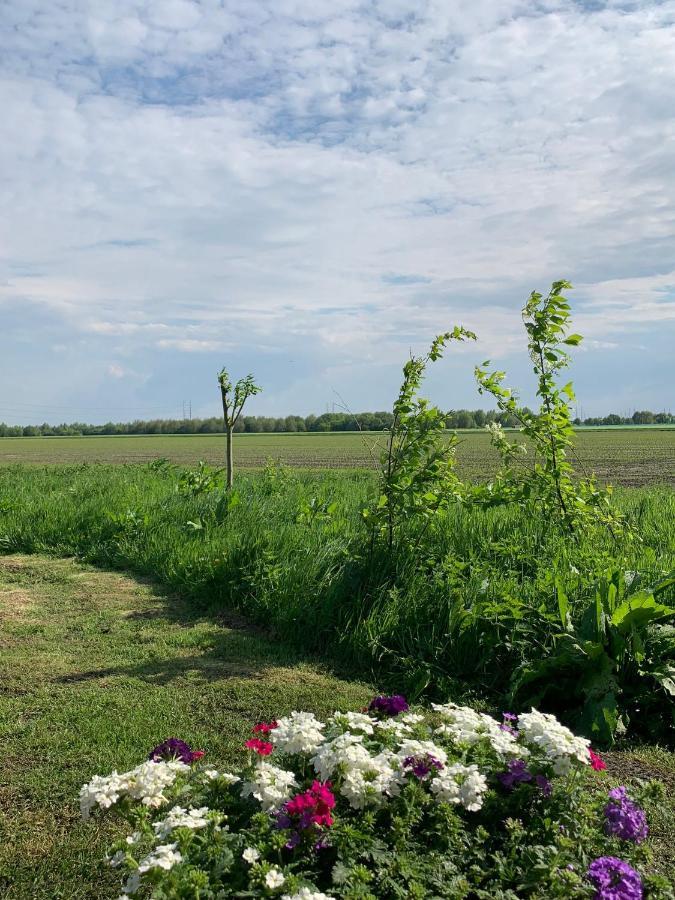 Fields 1216 Bed & Breakfast Zwaanshoek Екстериор снимка