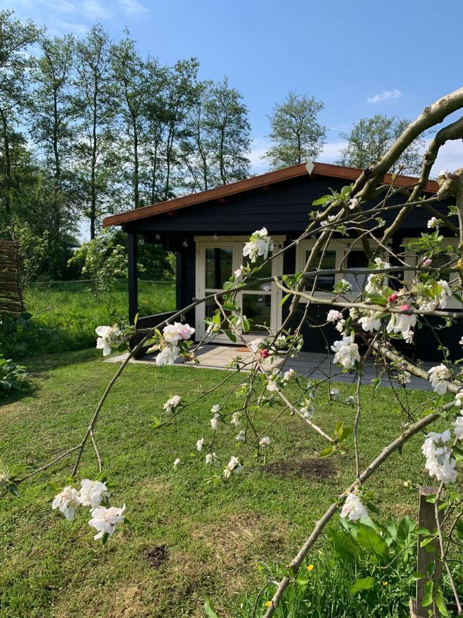 Fields 1216 Bed & Breakfast Zwaanshoek Екстериор снимка