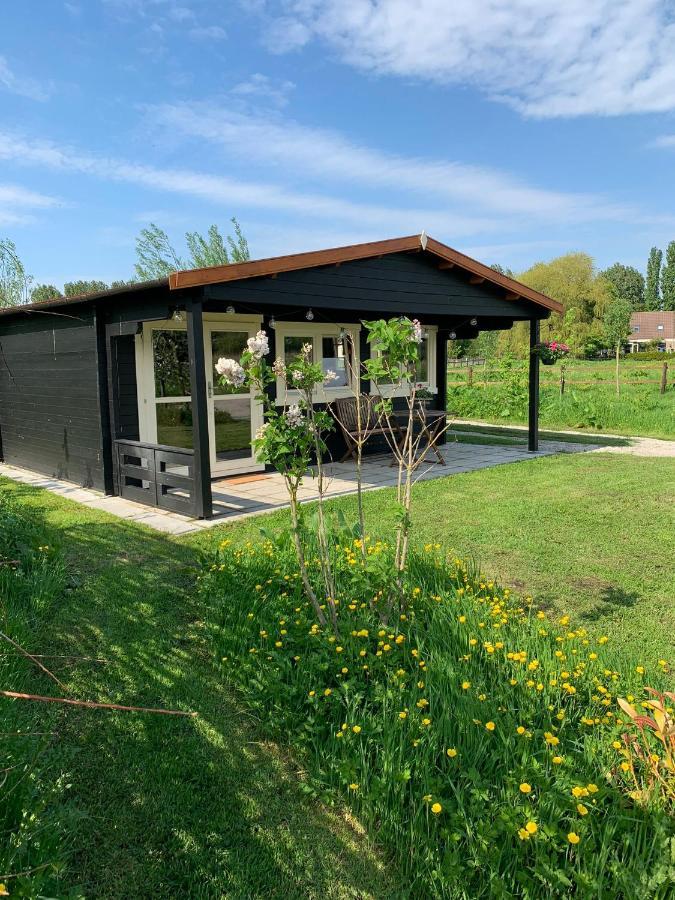 Fields 1216 Bed & Breakfast Zwaanshoek Екстериор снимка