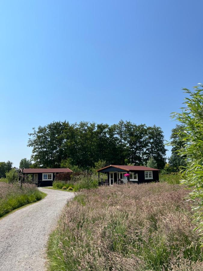 Fields 1216 Bed & Breakfast Zwaanshoek Екстериор снимка